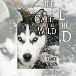 How Clear Should the Message Be? The Call of the Wild, by Jack London