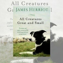 Poignant Little Stories: All Creatures Great and Small, by James Herriot