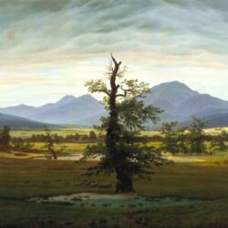 Divinity School Dropout