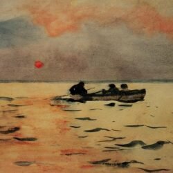 Two Poems by Allison Collins